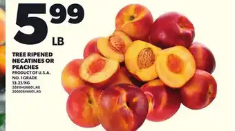 Loblaws TREE RIPENED NECATINES OR PEACHES offer