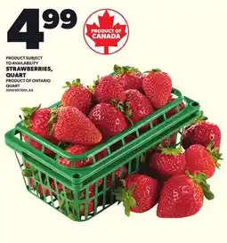 Loblaws STRAWBERRIES, QUART offer