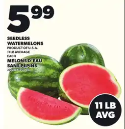 Independent Grocer SEEDLESS WATERMELONS, 11 LB AVERAGE offer