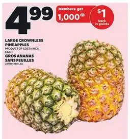 Independent Grocer LARGE CROWNLESS PINEAPPLES offer
