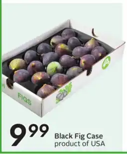 Sobeys Black Fig Case offer