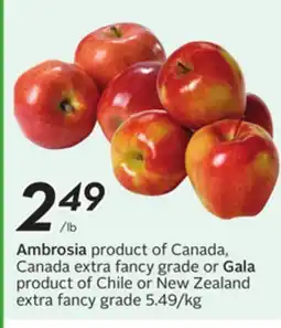 Sobeys Ambrosia offer