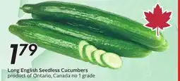 Sobeys Long English Seedless Cucumbers offer