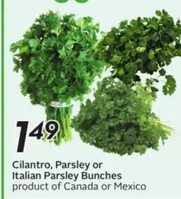 Sobeys Cilantro, Parsley or Italian Parsley Bunches offer