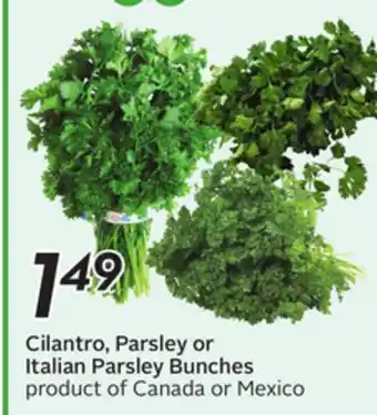 Sobeys Cilantro, Parsley or Italian Parsley Bunches offer