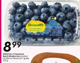 Sobeys DRISCOLL'S Sweetest Batch Blueberries offer