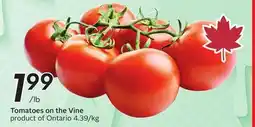 Sobeys Tomatoes on the Vine offer