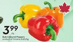 Sobeys Bulk Coloured Peppers offer