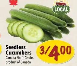 Farm Boy Seedless Cucumbers offer