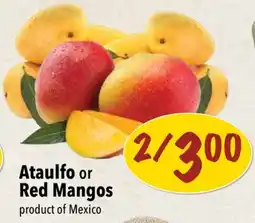 Farm Boy Ataulfo or Red Mangos offer