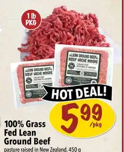 Farm Boy 100% Grass Fed Lean Ground Beef offer