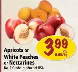 Farm Boy Apricots or White Peaches or Nectarines offer