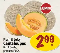 Farm Boy JUMBO Fresh & Juicy Cantaloupes offer