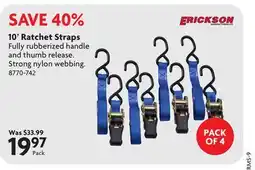 Home Hardware 10' Ratchet Straps offer