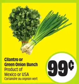 FreshCo Cilantro or Green Onion Bunch Product of Mexico or USA offer
