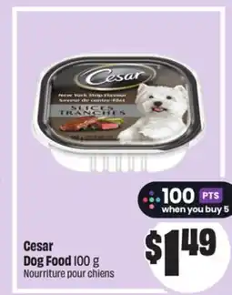 FreshCo Cesar Dog Food, 100 g offer