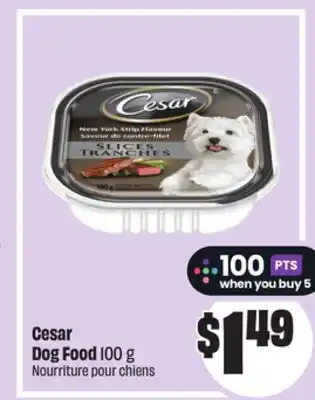 FreshCo Cesar Dog Food, 100 g offer
