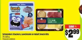 FreshCo Schneiders Stackers, Lunchmate or Adult Snacks Kits 75-120 g offer