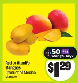 FreshCo Red or Ataulfo Mangoes Product of Mexico offer