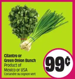 Chalo FreshCo Cilantro or Green Onion Bunch Product of Mexico or USA offer