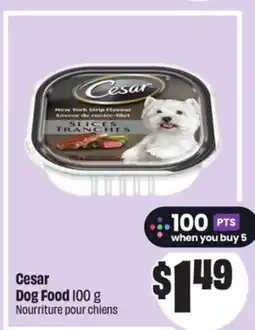 Chalo FreshCo Cesar Dog Food 100 g offer