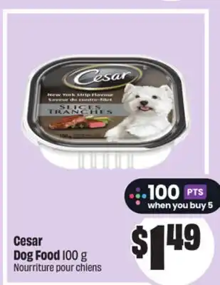Chalo FreshCo Cesar Dog Food 100 g offer