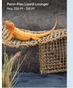 Petvalu Penn-Plax Lizard Lounger offer