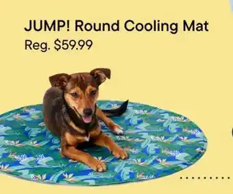 Petvalu JUMP! Round Cooling Mat offer