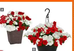 Home Depot Grande Villa Planter/ Hanging Basket offer