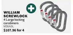 Sports Experts WILLIAM SCREWLOCK 4 Large locking carabiners offer