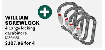 Sports Experts WILLIAM SCREWLOCK 4 Large locking carabiners offer