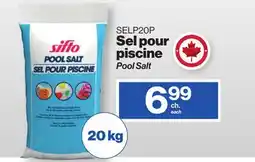 Patrick Morin piscine Pool Salt offer