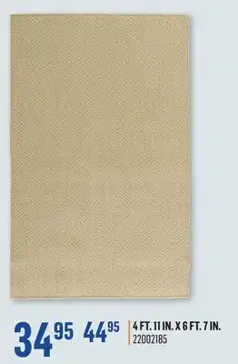 Canac Havza Outdoor Carpet offer