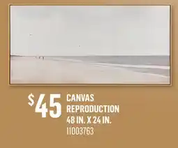 Canac Canvas Reproduction 48 in. x 24 in offer