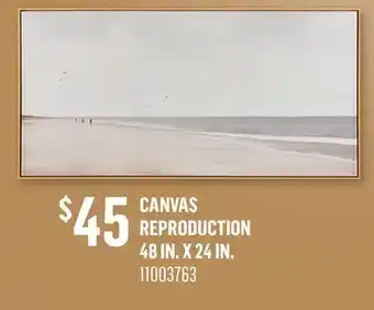 Canac Canvas Reproduction 48 in. x 24 in offer
