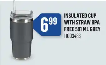 Canac Insulated Cup with Straw BPA Free 591 ml Grey offer