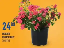 Canac Rosier knock out offer