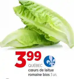 Avril QUÉBEC cœurs de laitue romaine bios offer