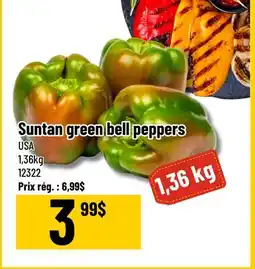Mayrand Suntan green bell peppers 1,36kg offer