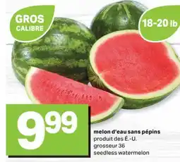 L'Intermarché MELON D'EAU SANS PÉPINS offer