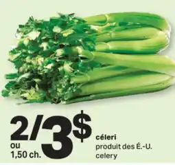 L'Intermarché CÉLERI | CELERY offer