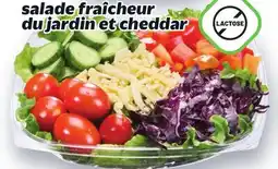 Metro SALADE FRAÎCHEUR DU JARDIN ET CHEDDAR offer