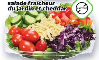 Metro SALADE FRAÎCHEUR DU JARDIN ET CHEDDAR offer
