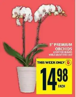 Food Basics 5” PREMIUM ORCHIDS offer