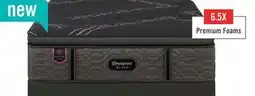 The Brick Beautyrest Black Signature Magenta Euro Pillowtop Queen Mattress offer