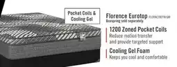 The Brick Springwall Florence Eurotop Luxury Firm Twin Mattress offer