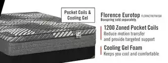 The Brick Springwall Florence Eurotop Luxury Firm Twin Mattress offer