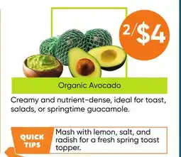 Healthy Planet Organic Avocado offer