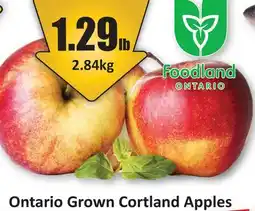 Starsky Ontario Grown Cortland Apples offer