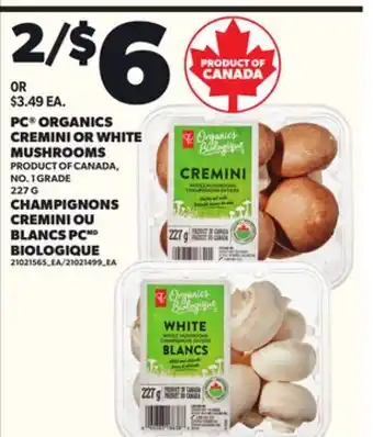 Independent City Market PC ORGANICS CREMINI OR WHITE MUSHROOMS, 227 G offer